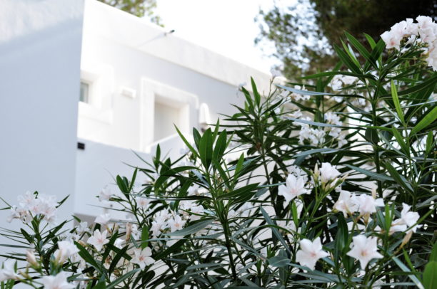 Lavinia Biancalani, Marco Ferrero iconize, Elena Bonamico, Valentina pegorer, Arma Lola, Andrea Marcaccini , Ciroc , Ibiza, 