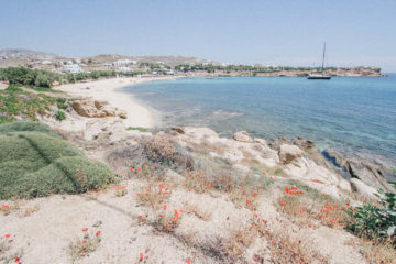 annalisa arcando, moustachic, moustachic x tsp travellers, moustachicmykonosedition, mykonos, beach, souvernirs, travel, travel guide, petros, tsptravellers