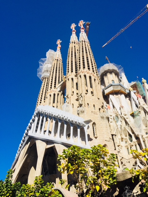 barcellona, barcelona, arte, cibo, mini vacanza, barrio gotico, chiesa di santa maria del mar, casa batllò, casa milà, park guell, sagrada familia, recinto modernista sant pau, mary marchesano, amaiorca,